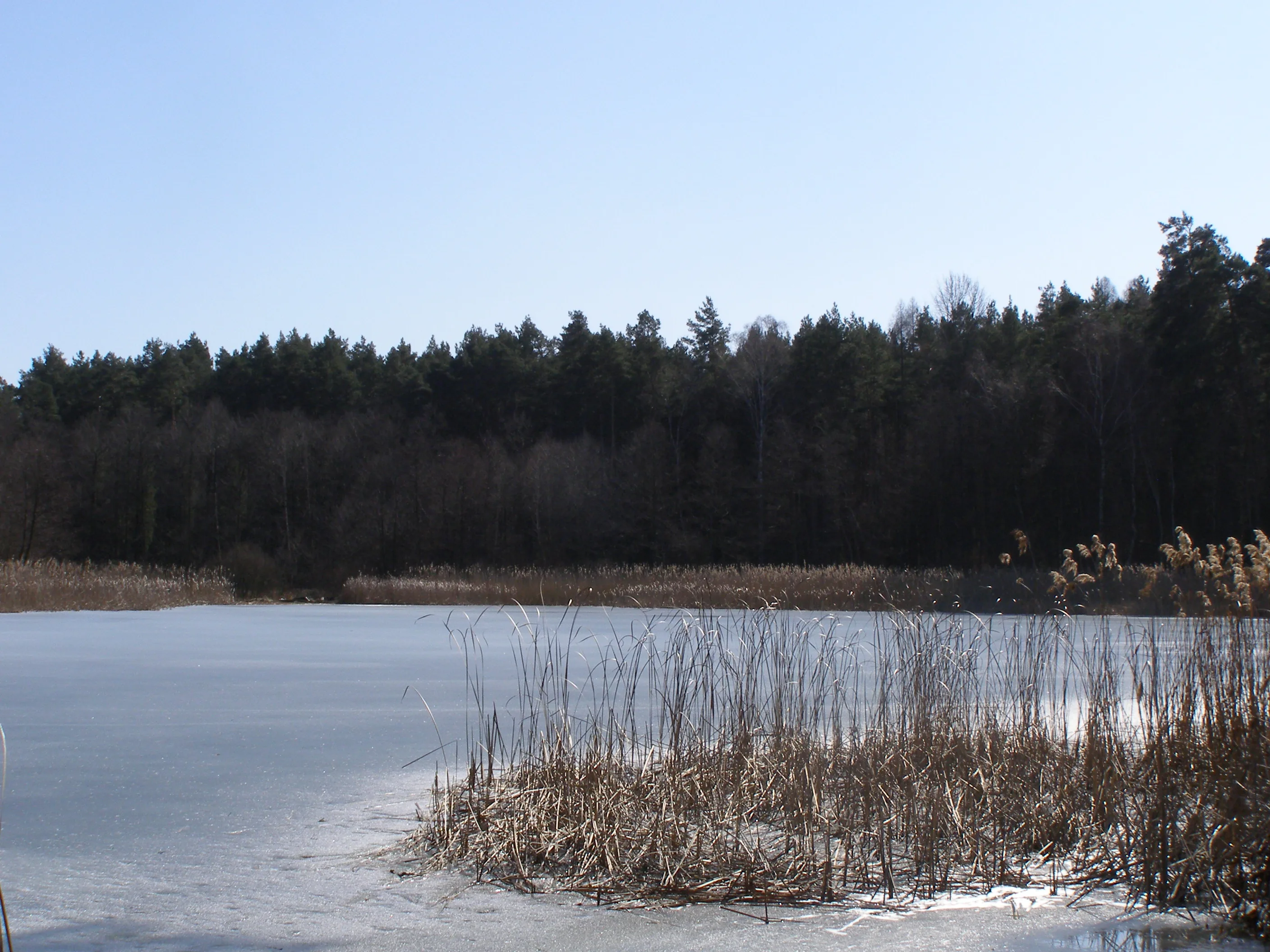 Czyn Wędkarski